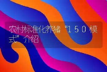 农村标准化养猪“150模式”介绍