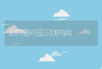 如何看鸡蛋识别鸡病