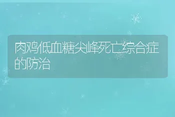 肉鸡低血糖尖峰死亡综合症的防治