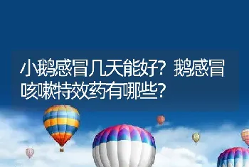 小鹅感冒几天能好？鹅感冒咳嗽特效药有哪些？