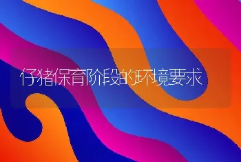 仔猪保育阶段的环境要求