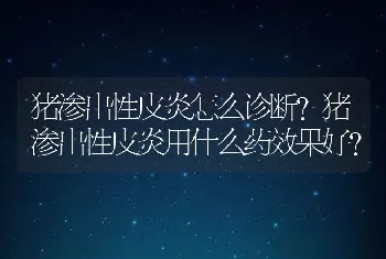 猪渗出性皮炎怎么诊断？猪渗出性皮炎用什么药效果好？