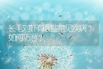 烤花揽鳜鱼的制作