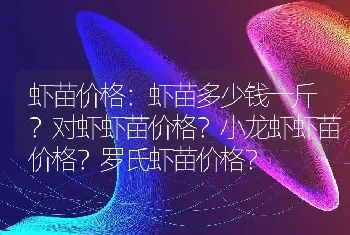 虾苗价格：虾苗多少钱一斤？对虾虾苗价格？小龙虾虾苗价格？罗氏虾苗价格？