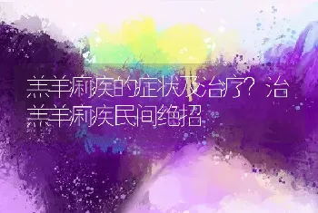 羔羊痢疾的症状及治疗？治羔羊痢疾民间绝招