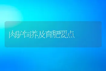 肉驴饲养及育肥要点