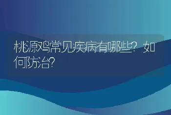 桃源鸡常见疾病有哪些？如何防治？