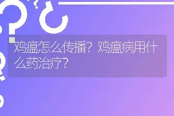 鸡瘟怎么传播？鸡瘟病用什么药治疗？