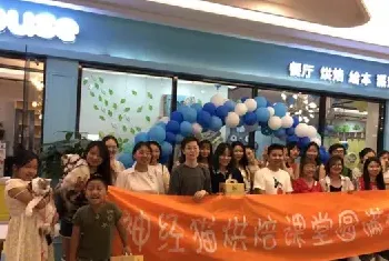 神经猫有“大不同”  宠物生日会火爆南京