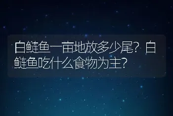 白鲢鱼一亩地放多少尾？白鲢鱼吃什么食物为主？