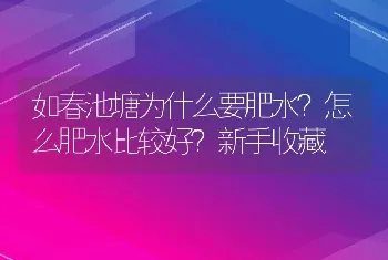 如春池塘为什么要肥水？怎么肥水比较好？新手收藏