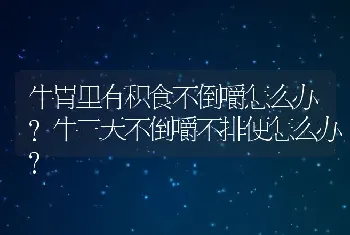 牛胃里有积食不倒嚼怎么办?牛三天不倒嚼不排便怎么办?