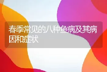 春季常见的八种鱼病及其病因和症状