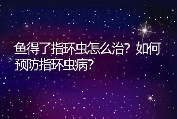 鱼得了指环虫怎么治？如何预防指环虫病？