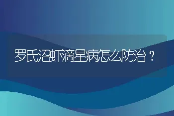 罗氏沼虾滴星病怎么防治？