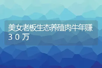 美女老板生态养殖肉牛年赚30万