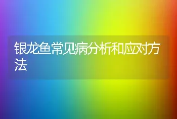 银龙鱼常见病分析和应对方法