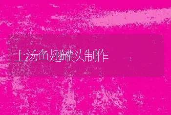 上汤鱼翅罐头制作