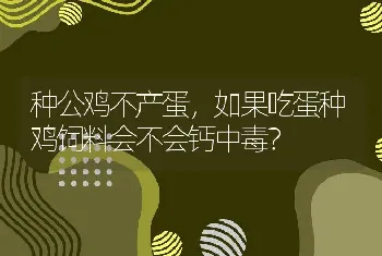 种公鸡不产蛋，如果吃蛋种鸡饲料会不会钙中毒？