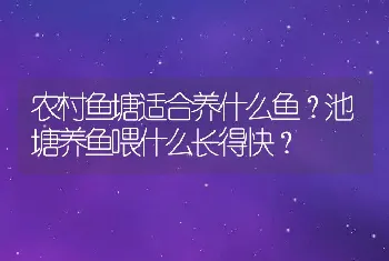 农村鱼塘适合养什么鱼？池塘养鱼喂什么长得快？