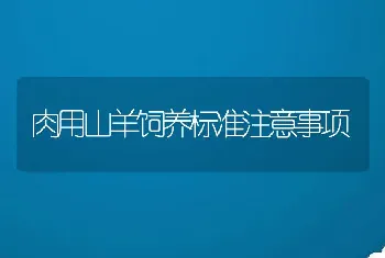 肉用山羊饲养标准注意事项