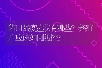 猪口蹄疫症状有哪些？养殖户应该如何防控?