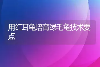 用红耳龟培育绿毛龟技术要点