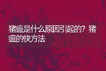 猪瘟是什么原因引起的？猪瘟的快方法