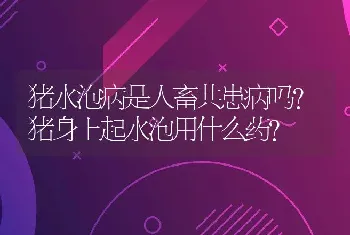 猪水泡病是人畜共患病吗？猪身上起水泡用什么药？