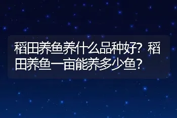 稻田养鱼养什么品种好？稻田养鱼一亩能养多少鱼？