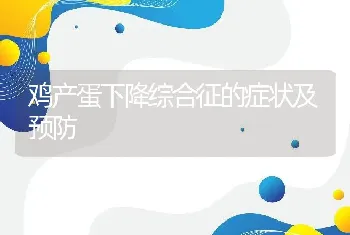 鸡产蛋下降综合征的症状及预防