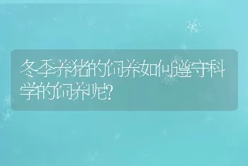 冬季养猪的饲养如何遵守科学的饲养呢？