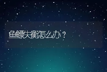 鱼鳔失衡怎么办？