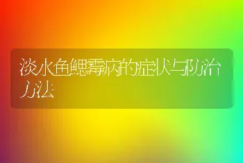 淡水鱼鳃霉病的症状与防治方法