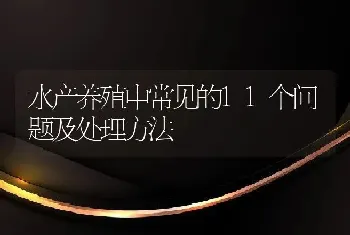 水产养殖中常见的11个问题及处理方法