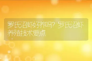 罗氏沼虾好养吗？罗氏沼虾养殖技术要点