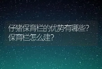 养鱼的水怎么养比较好