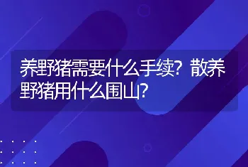 养野猪需要什么手续？散养野猪用什么围山？