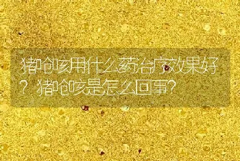 猪呛咳用什么药治疗效果好？猪呛咳是怎么回事？