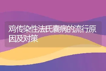 鸡传染性法氏囊病的流行原因及对策