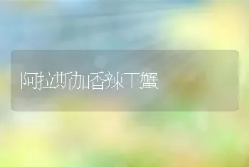 阿拉斯加香辣王蟹