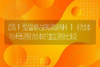 鸽Ⅰ型副粘病毒病Hl抗体与母源抗体的监测比较