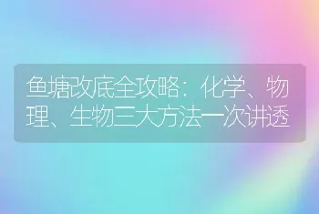 鱼塘改底全攻略：化学、物理、生物三大方法一次讲透