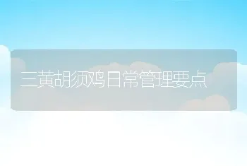 三黄胡须鸡日常管理要点