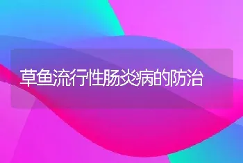 草鱼流行性肠炎病的防治