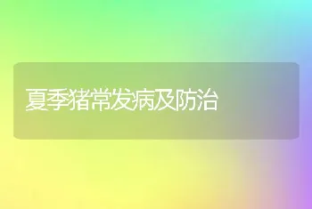 夏季猪常发病及防治