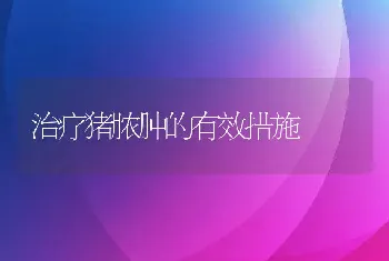 治疗猪脓肿的有效措施