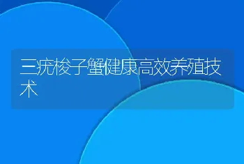 三疣梭子蟹健康高效养殖技术