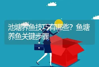 池塘养鱼技巧有哪些？鱼塘养鱼关键步骤