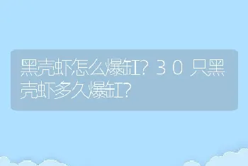 黑壳虾怎么爆缸？30只黑壳虾多久爆缸？